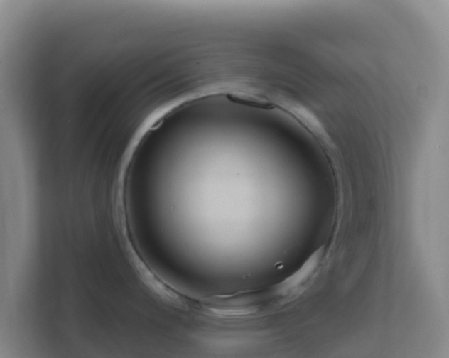 X0000111671200200907241206