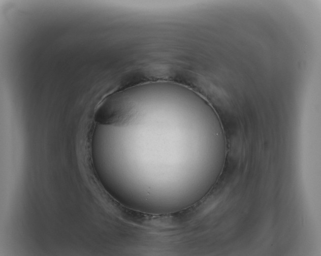 X0000111671201200907241205