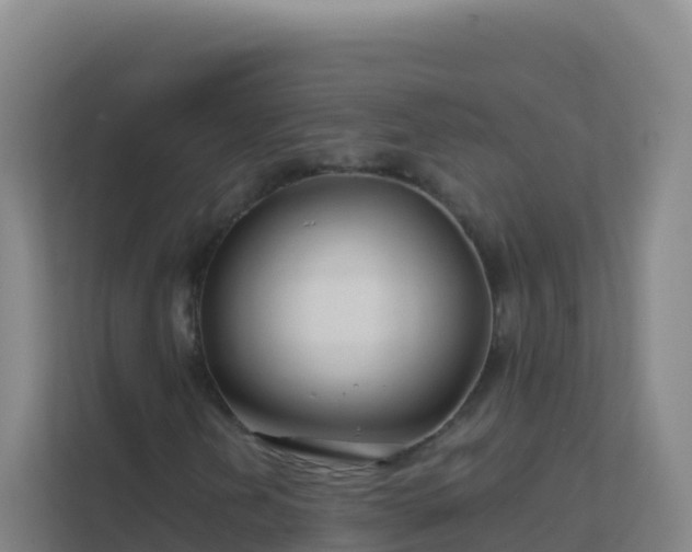 X0000111671202200907241205