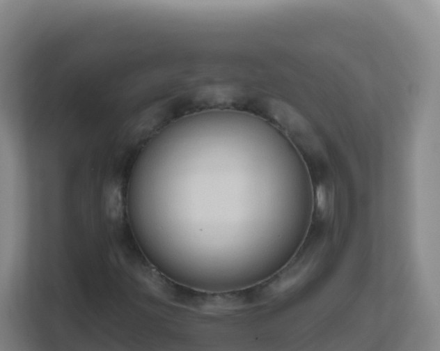 X0000111671203200907241205