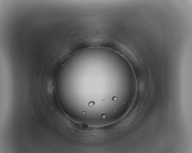 X0000111671204200907241205