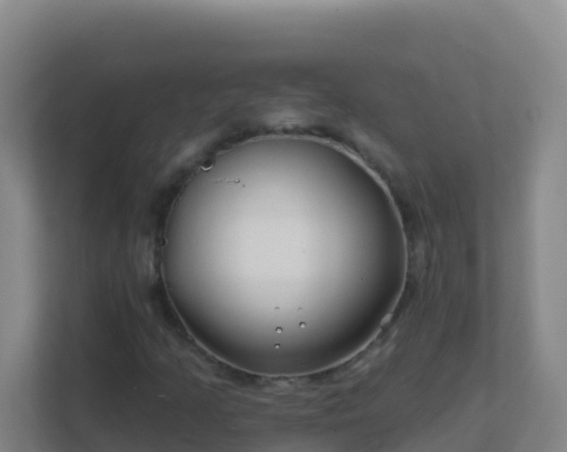 X0000111671205200907241205