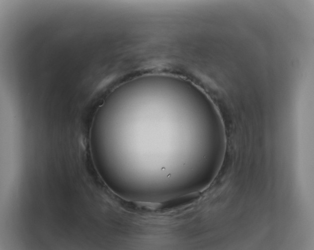 X0000111671206200907241205