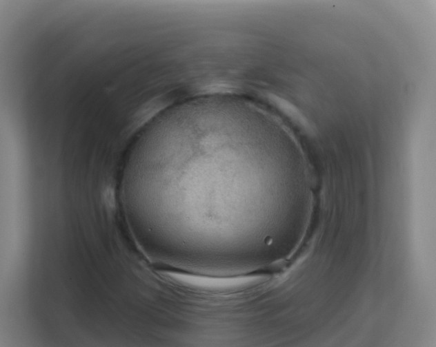 X0000111671209200907241205