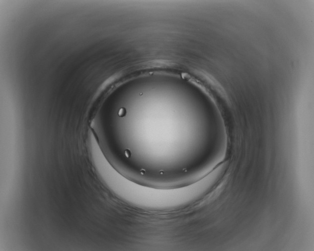 X0000111671210200907241205