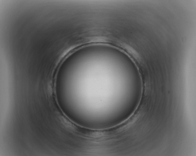 X0000111671212200907241205