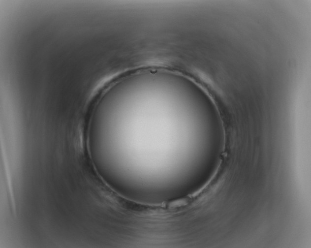 X0000111671214200907241205