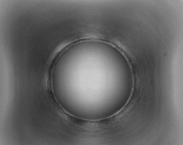 X0000111671215200907241205