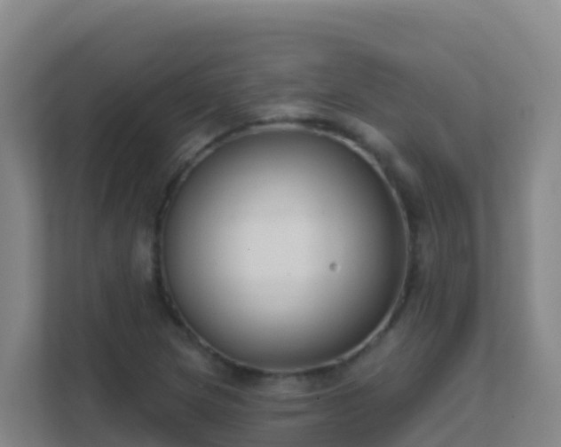 X0000111671217200907241205