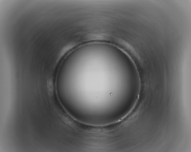 X0000111671218200907241205