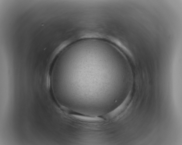 X0000111671221200907241205