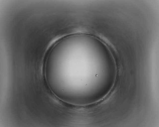 X0000111671222200907241205