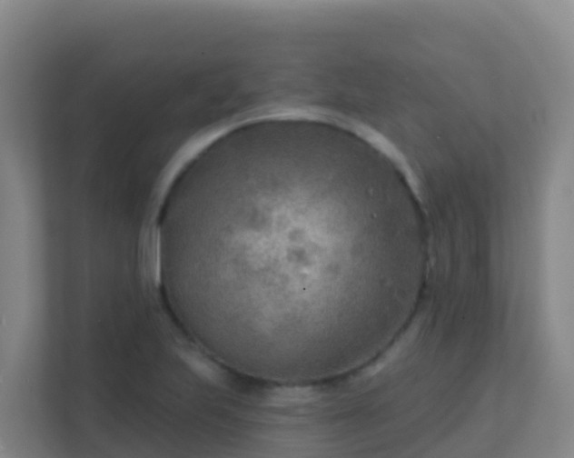 X0000111671223200907241205