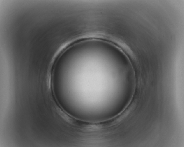 X0000111671224200907241205