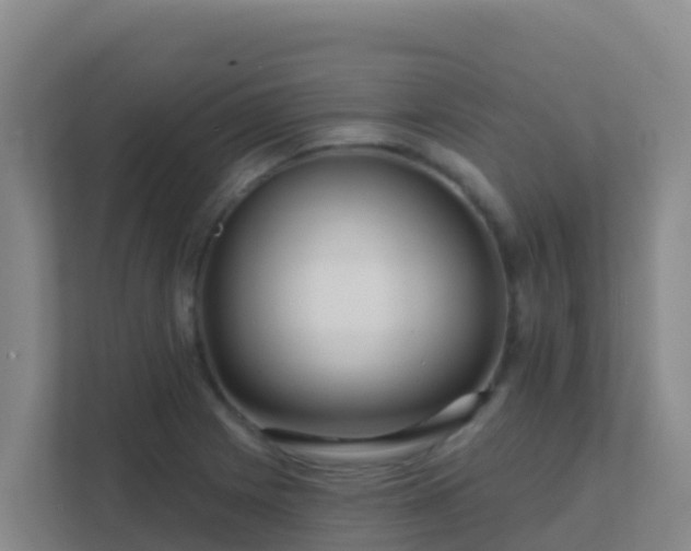 X0000111671225200907241205