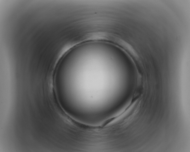 X0000111671226200907241205