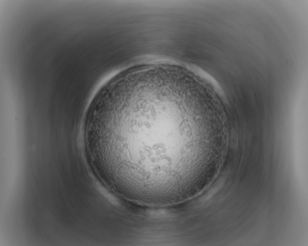 X0000111671231200907241205