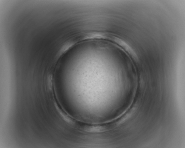 X0000111671233200907241206