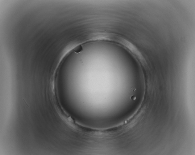 X0000111671234200907241206