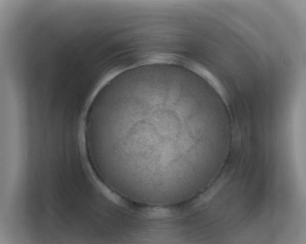 X0000111671235200907241206