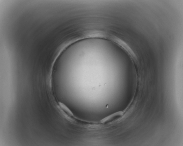 X0000111671236200907241206