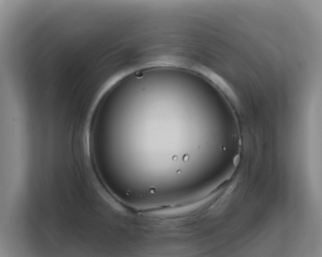 X0000111671238200907241206