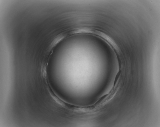 X0000111671241200907241206