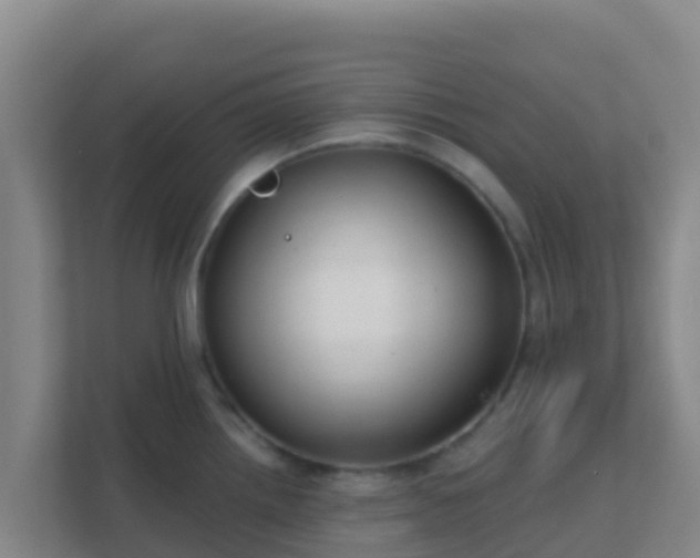 X0000111671242200907241206