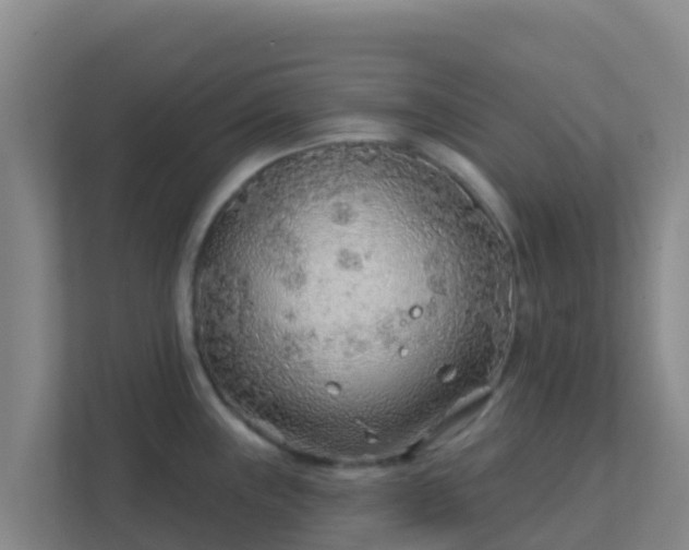 X0000111671243200907241206