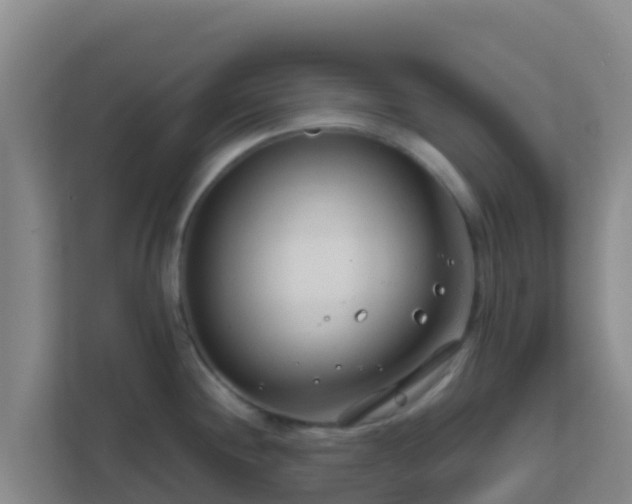 X0000111671244200907241206