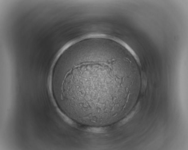 X0000111671245200907241206