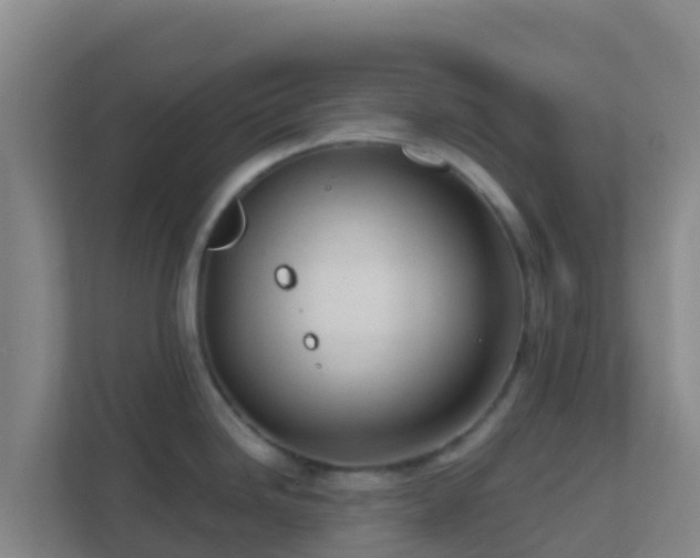 X0000111671246200907241206