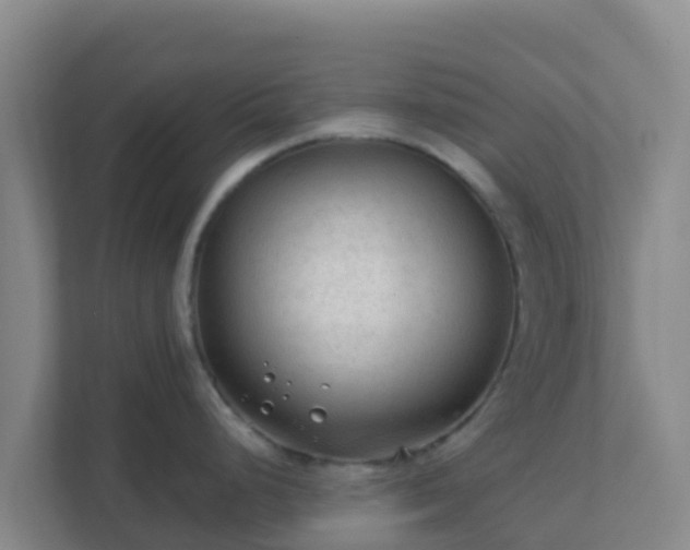 X0000111671248200907241206