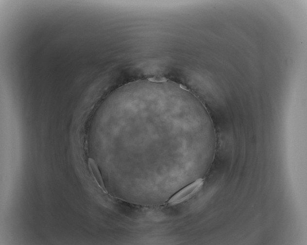 X0000111671249200907241205