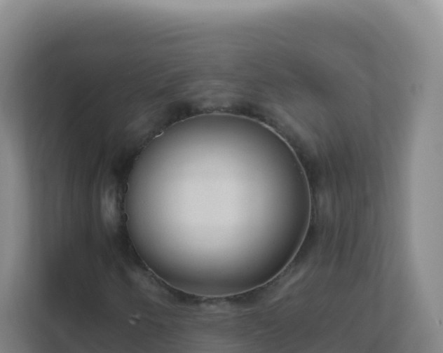 X0000111671250200907241205