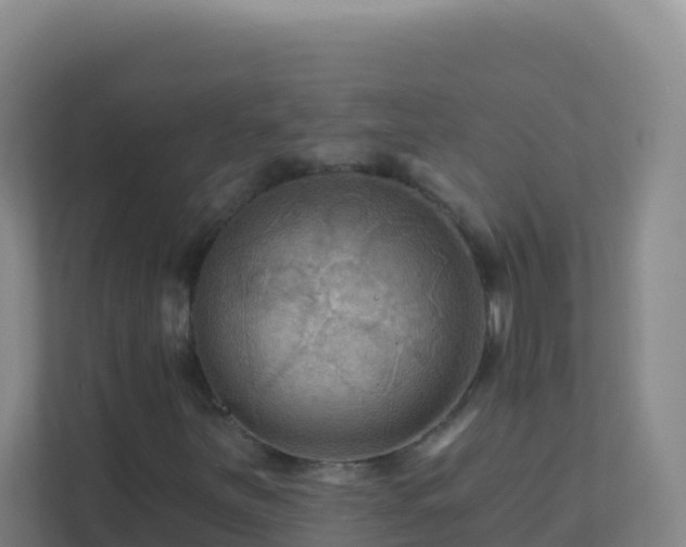 X0000111671251200907241205