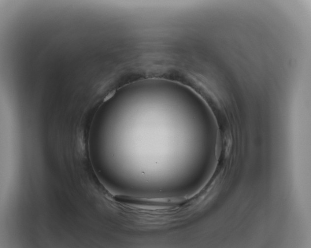 X0000111671252200907241205