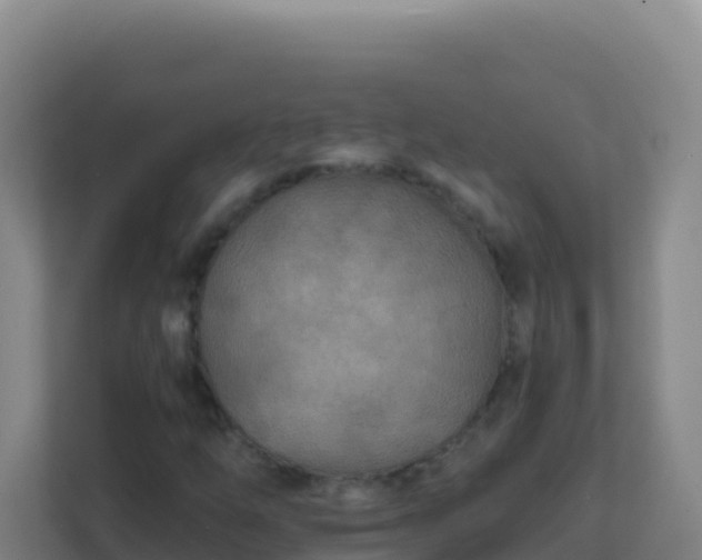 X0000111671254200907241205