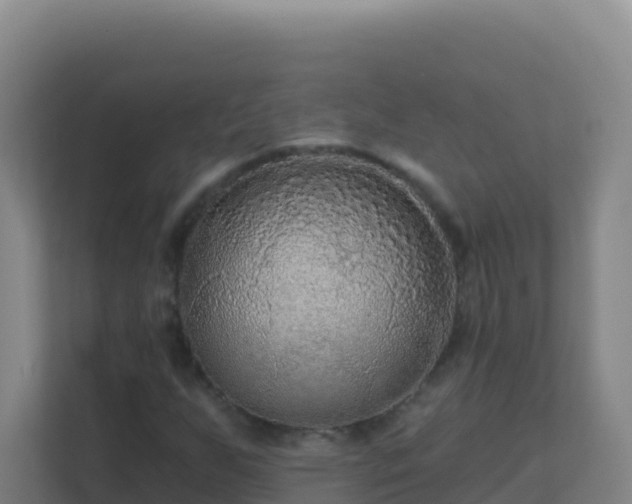 X0000111671255200907241205