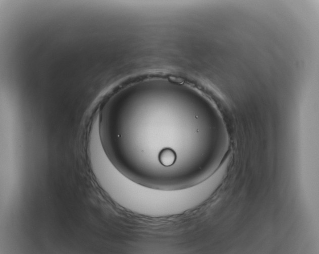 X0000111671256200907241205