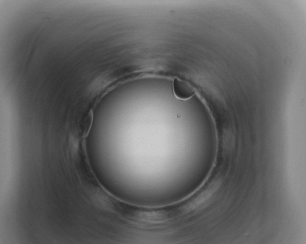 X0000111671257200907241205