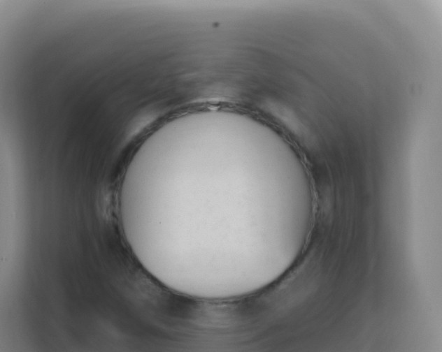 X0000111671258200907241205