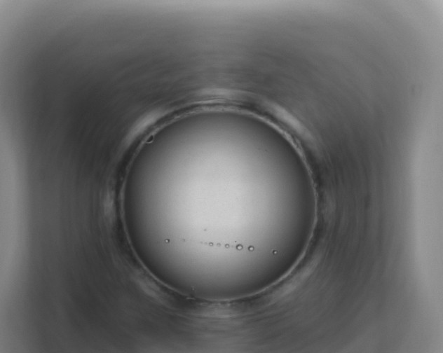 X0000111671259200907241205