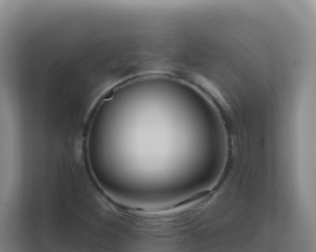 X0000111671260200907241205