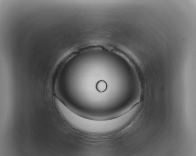 X0000111671261200907241205