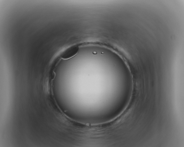 X0000111671262200907241205