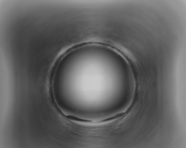 X0000111671264200907241205