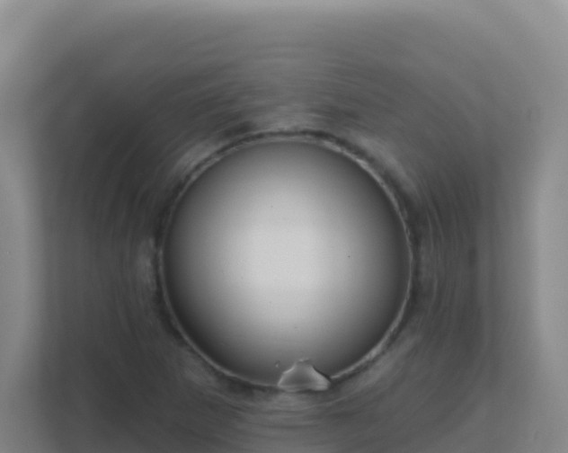 X0000111671265200907241205