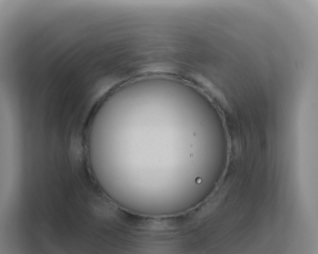 X0000111671266200907241205