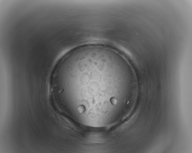 X0000111671267200907241205